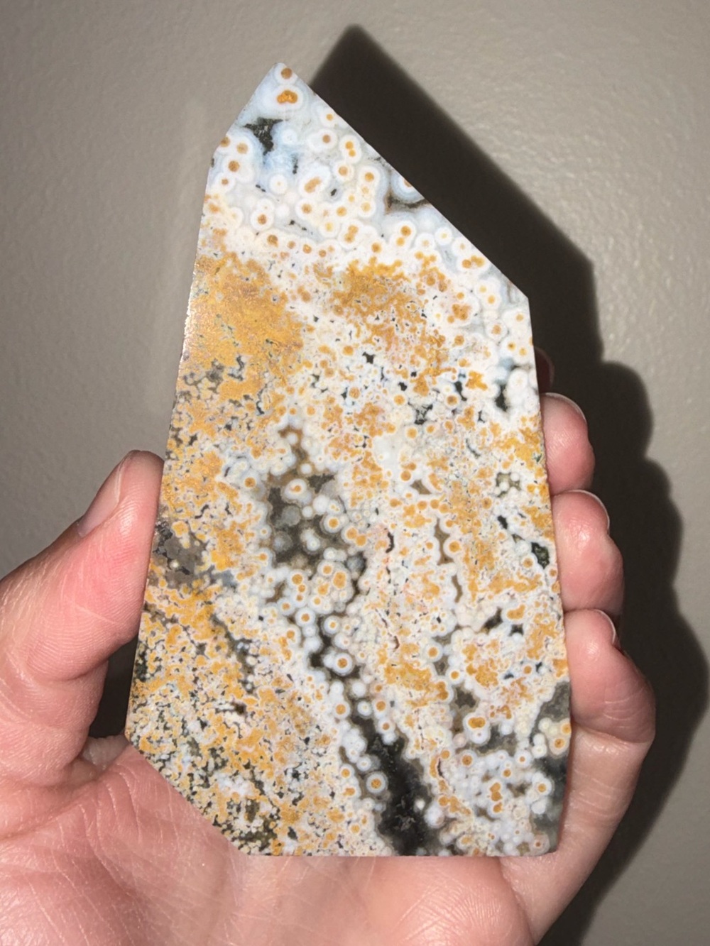HIGH QUALITY ORBICULAR OCEAN JASPER SLAB